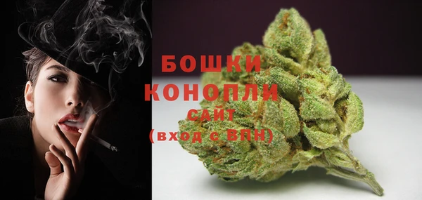 прущие грибы Белоозёрский
