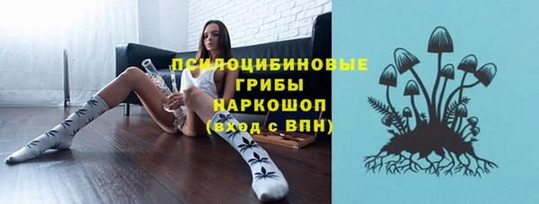 прущие грибы Белоозёрский