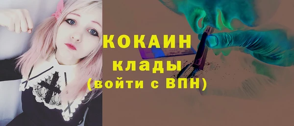 mix Богородицк