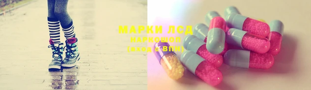 прущие грибы Белоозёрский